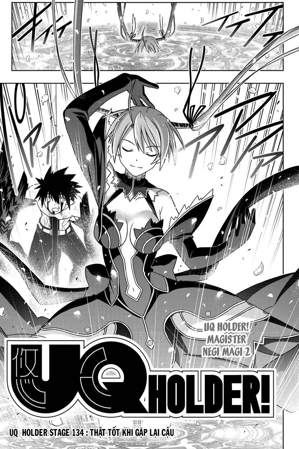 uq-holder/3