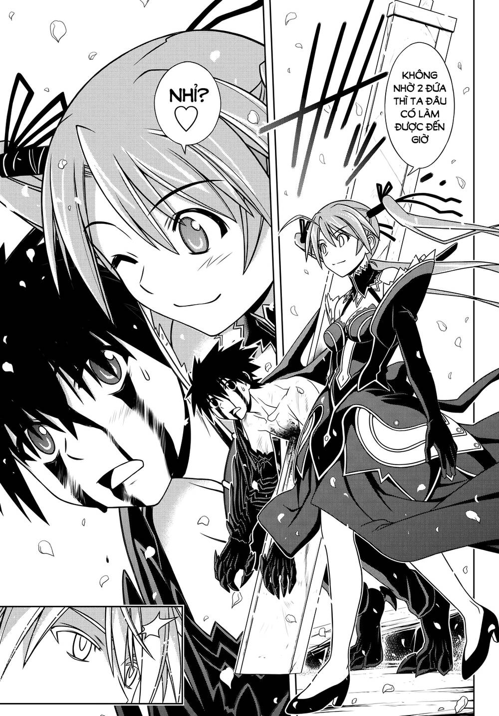 uq-holder/5