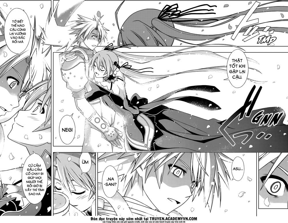 uq-holder/6