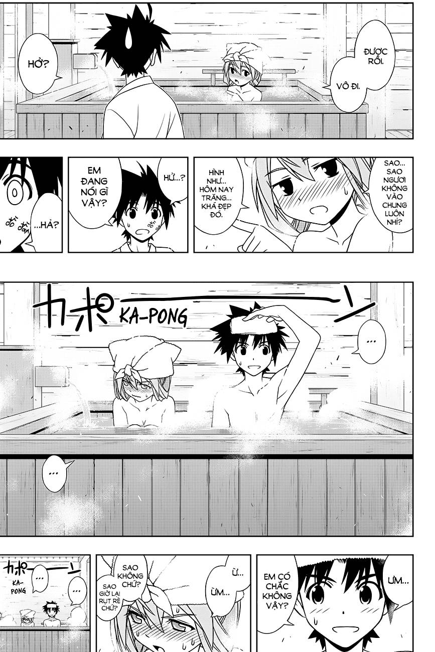 uq-holder/29