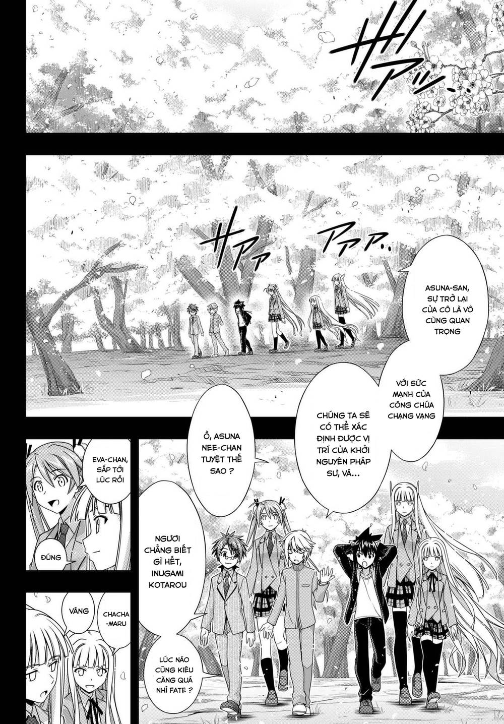 uq-holder/31