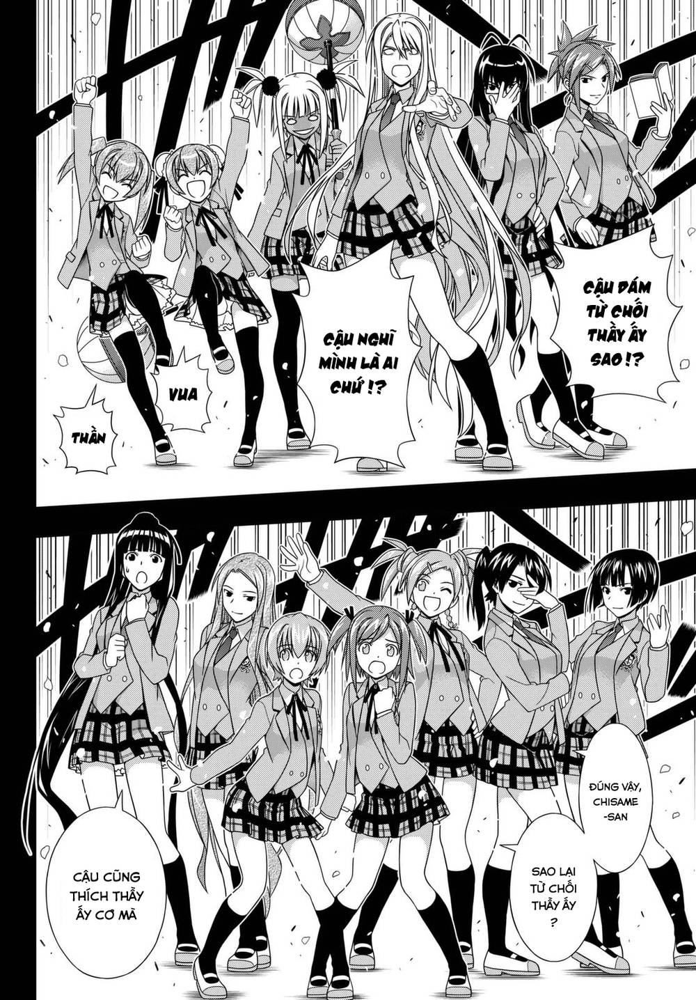 uq-holder/20