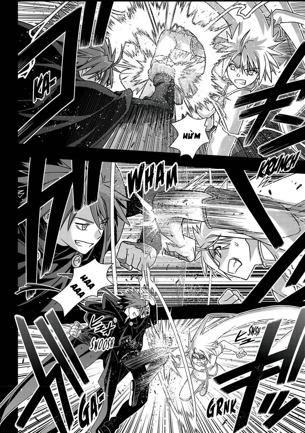 uq-holder/14