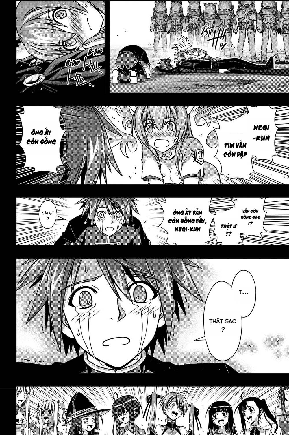 uq-holder/23