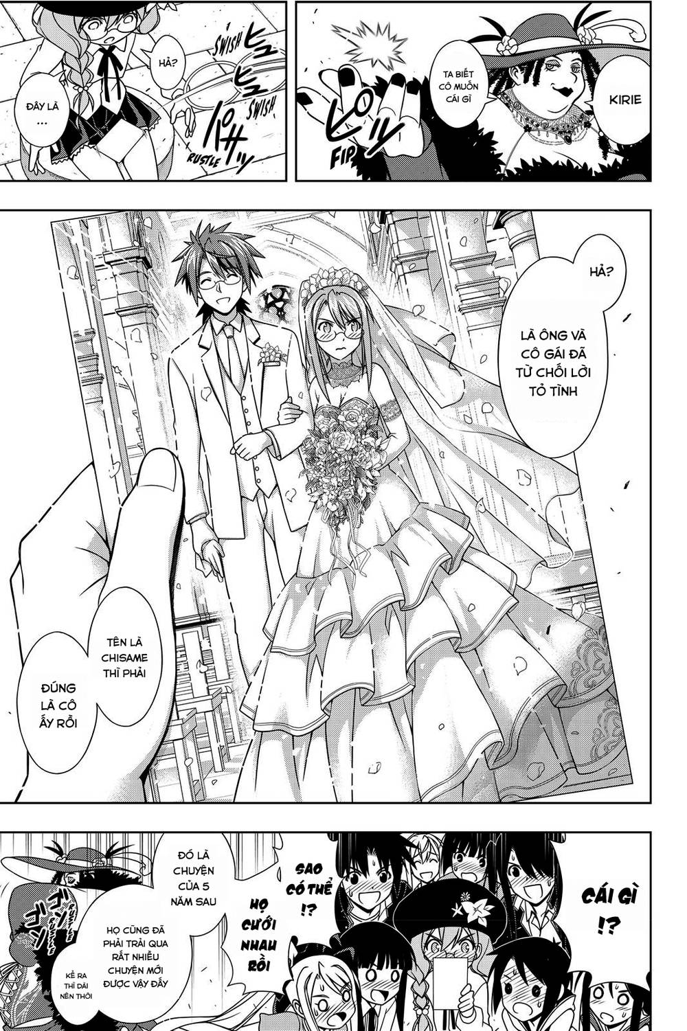 uq-holder/31