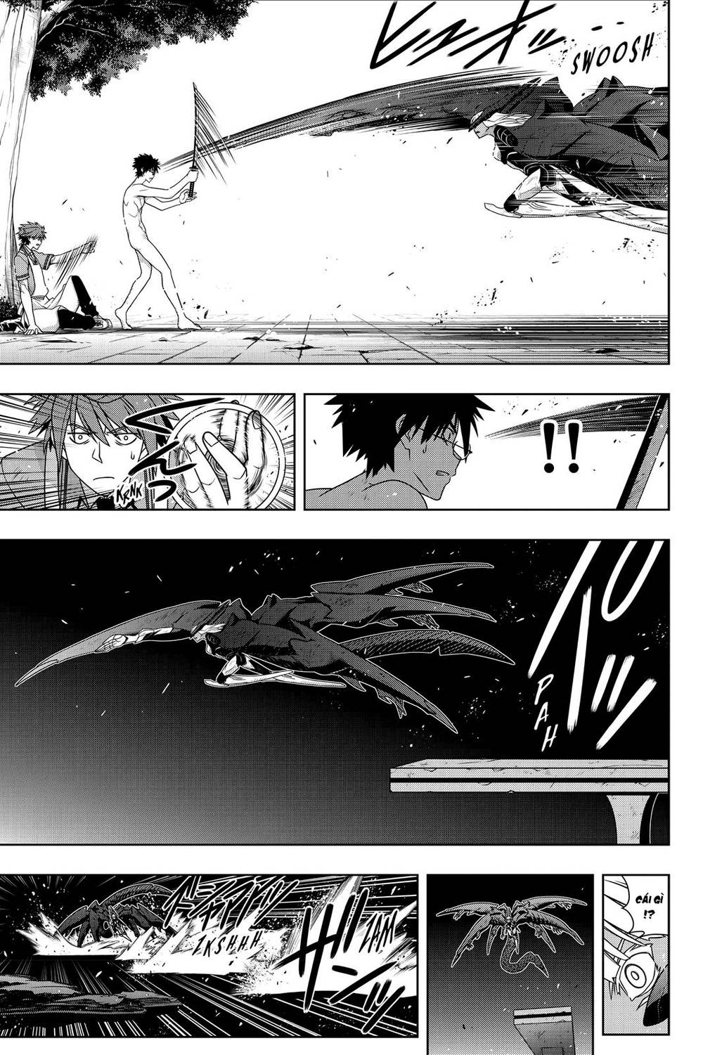 uq-holder/11