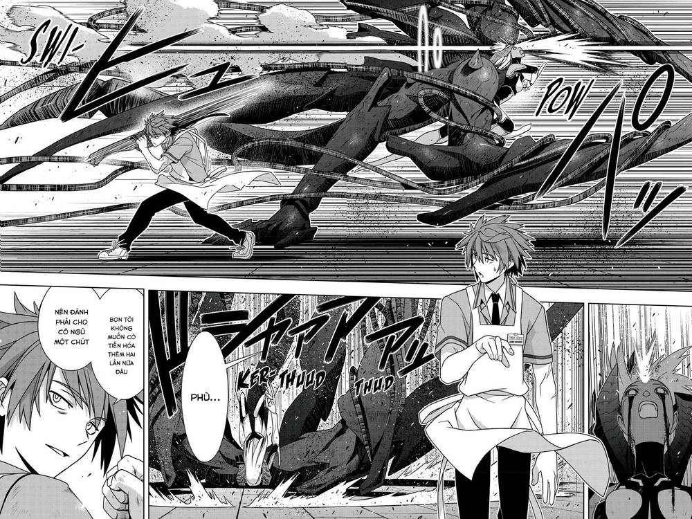 uq-holder/23