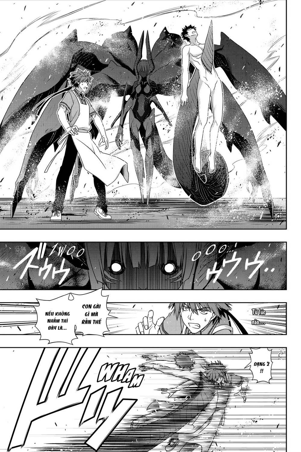 uq-holder/9