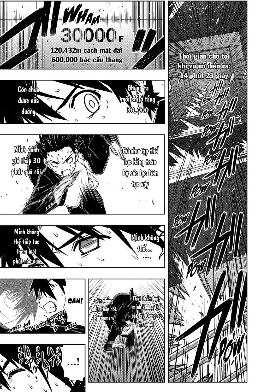 uq-holder/34