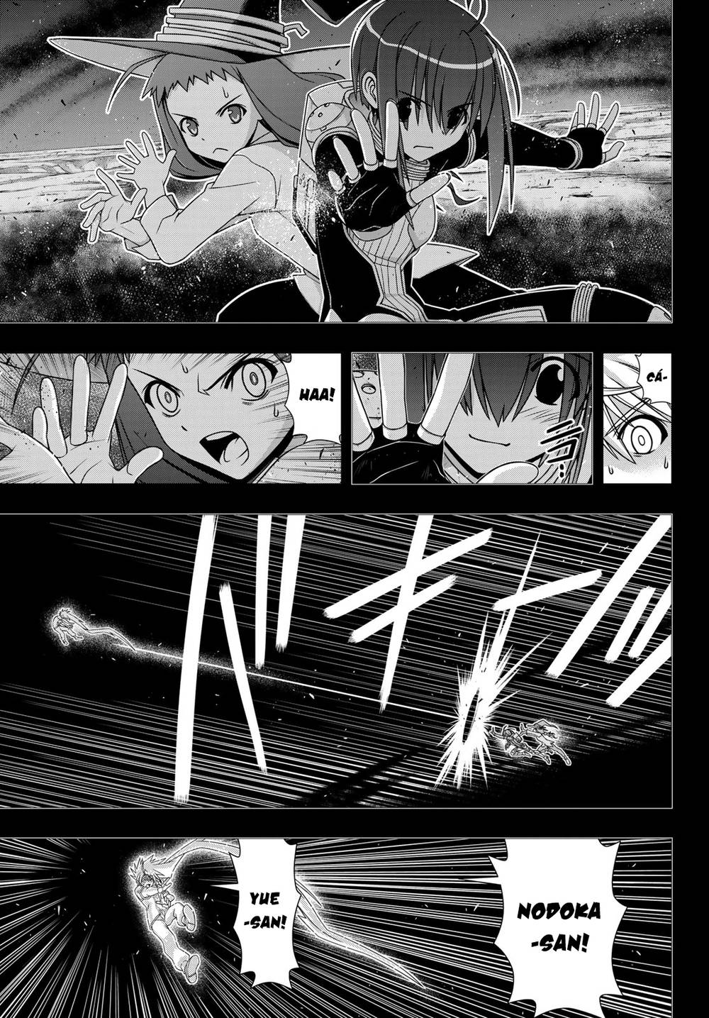 uq-holder/21