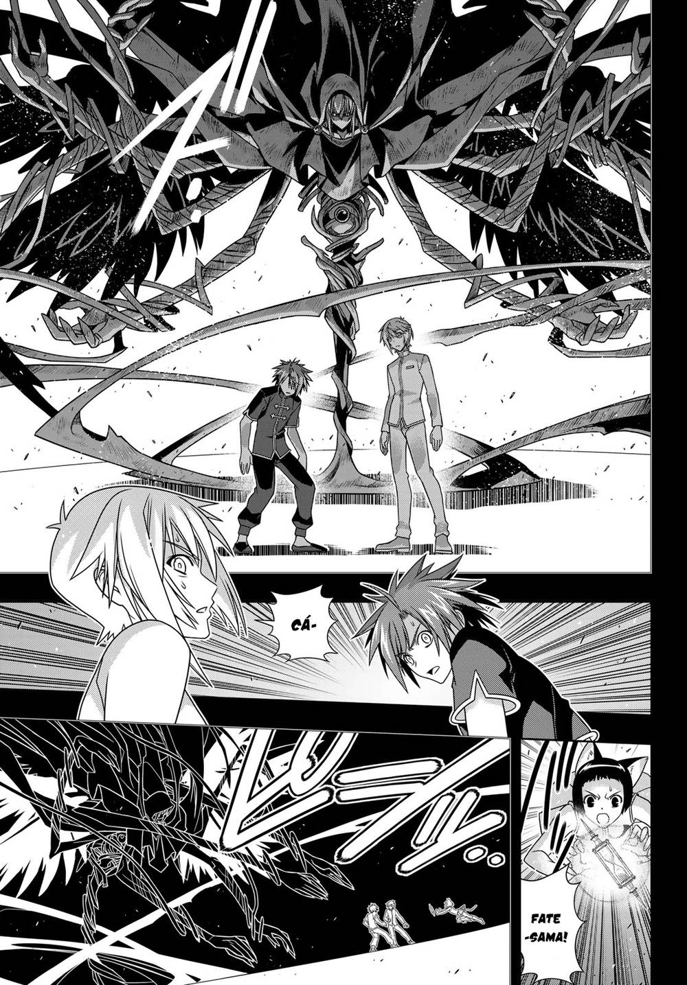 uq-holder/31