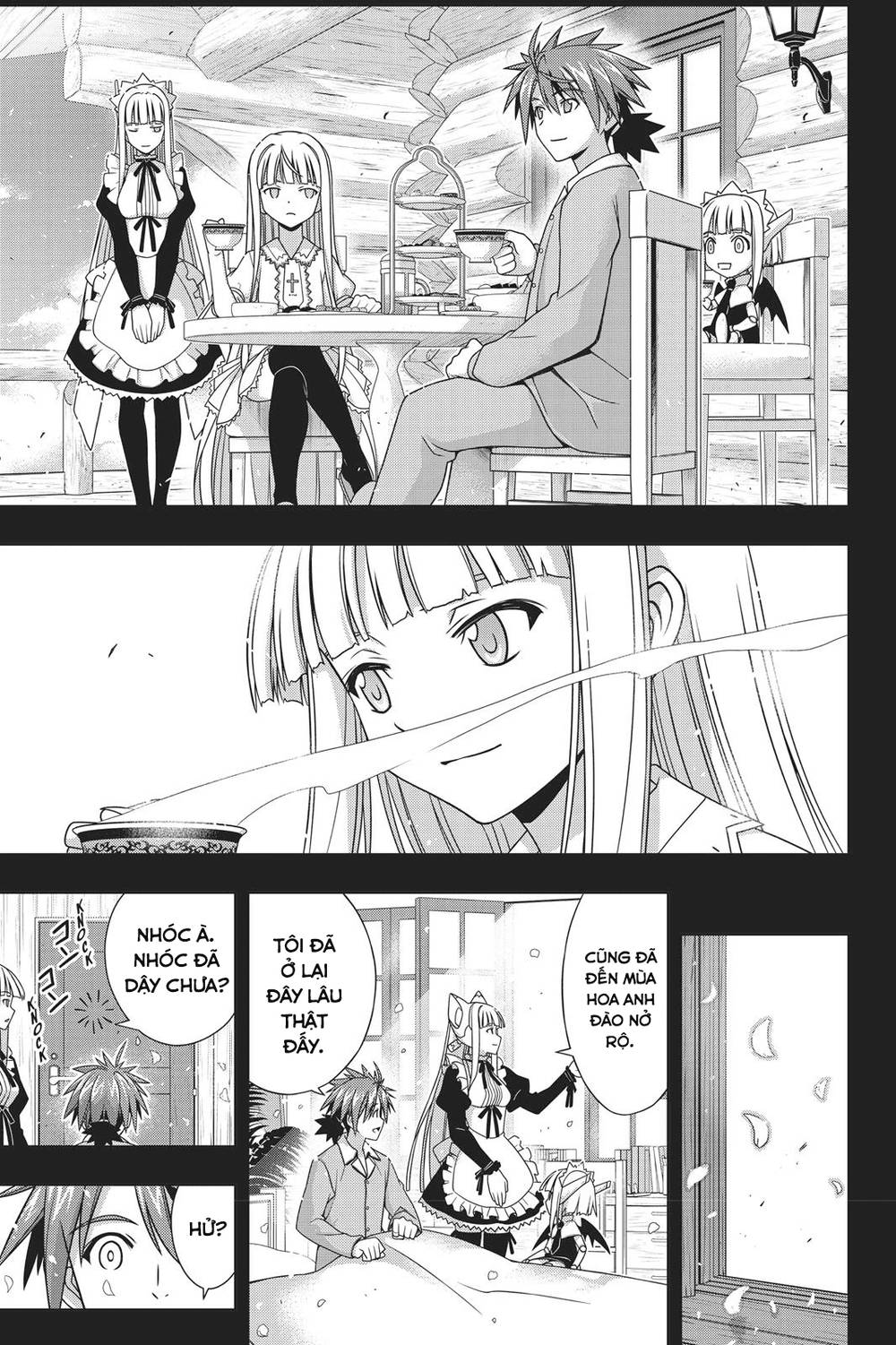 uq-holder/19