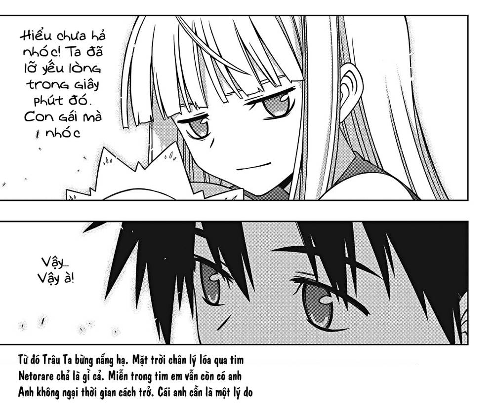 uq-holder/39