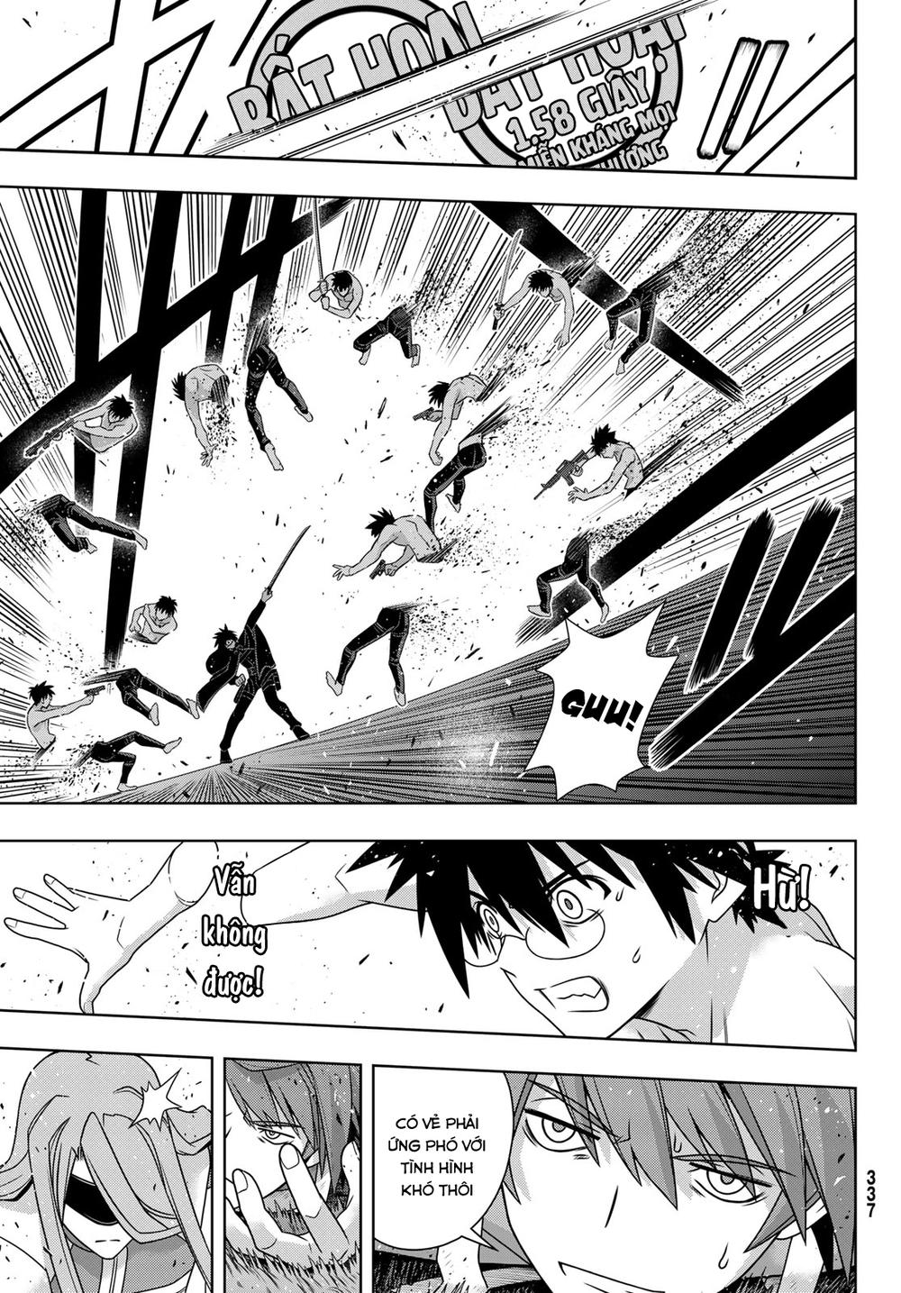 uq-holder/13