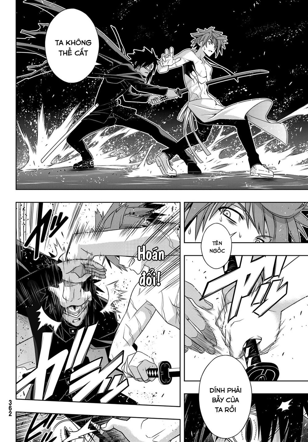 uq-holder/36