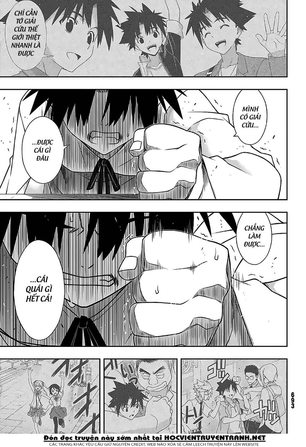 uq-holder/15