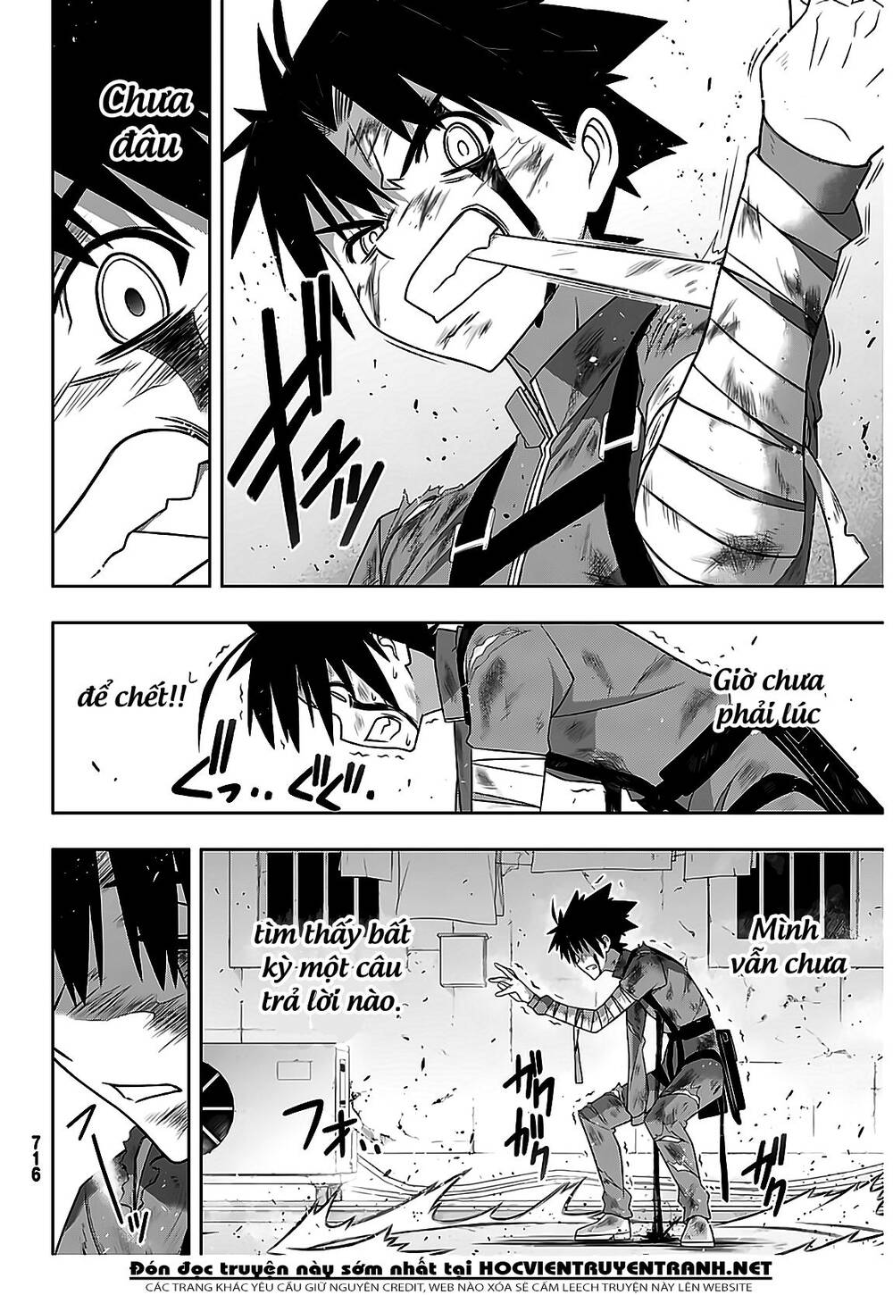 uq-holder/38