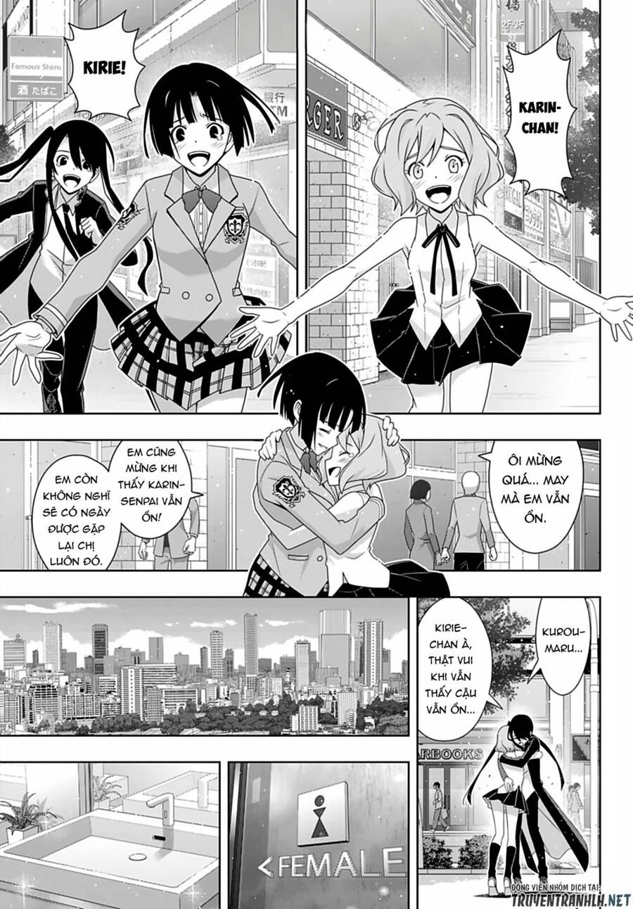 uq-holder/1