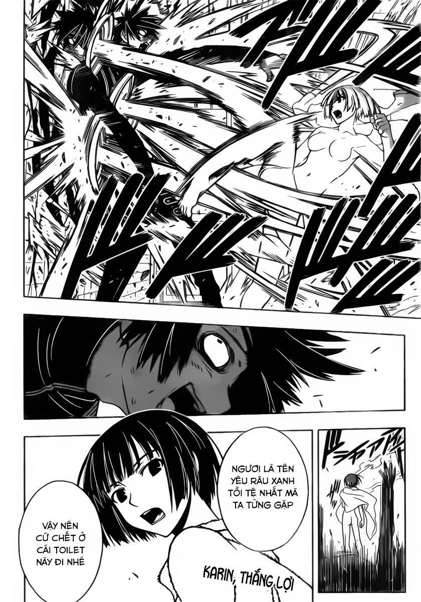 uq-holder/17