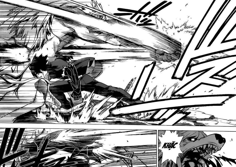 uq-holder/15