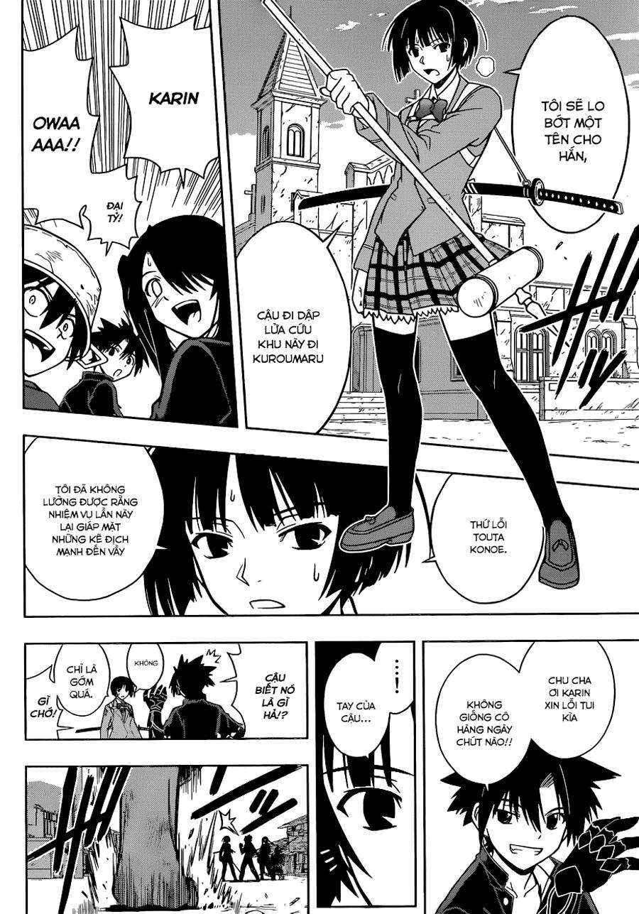 uq-holder/11