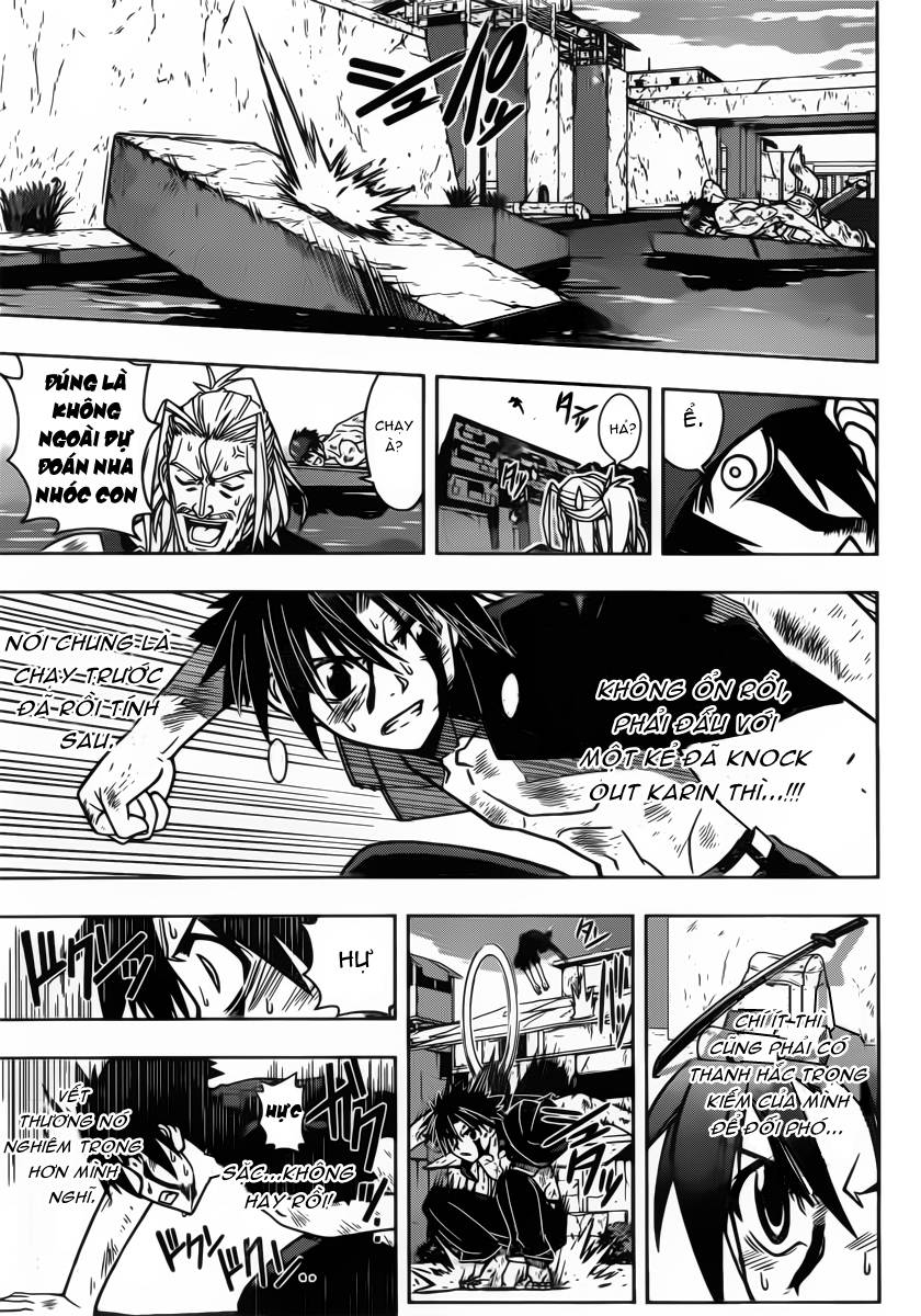 uq-holder/6