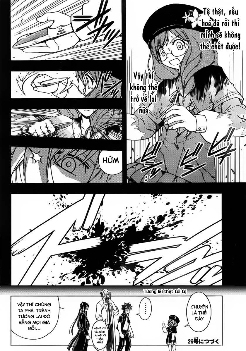 uq-holder/17