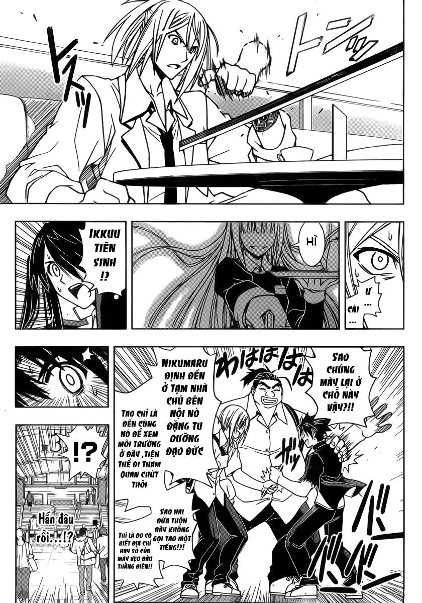 uq-holder/10