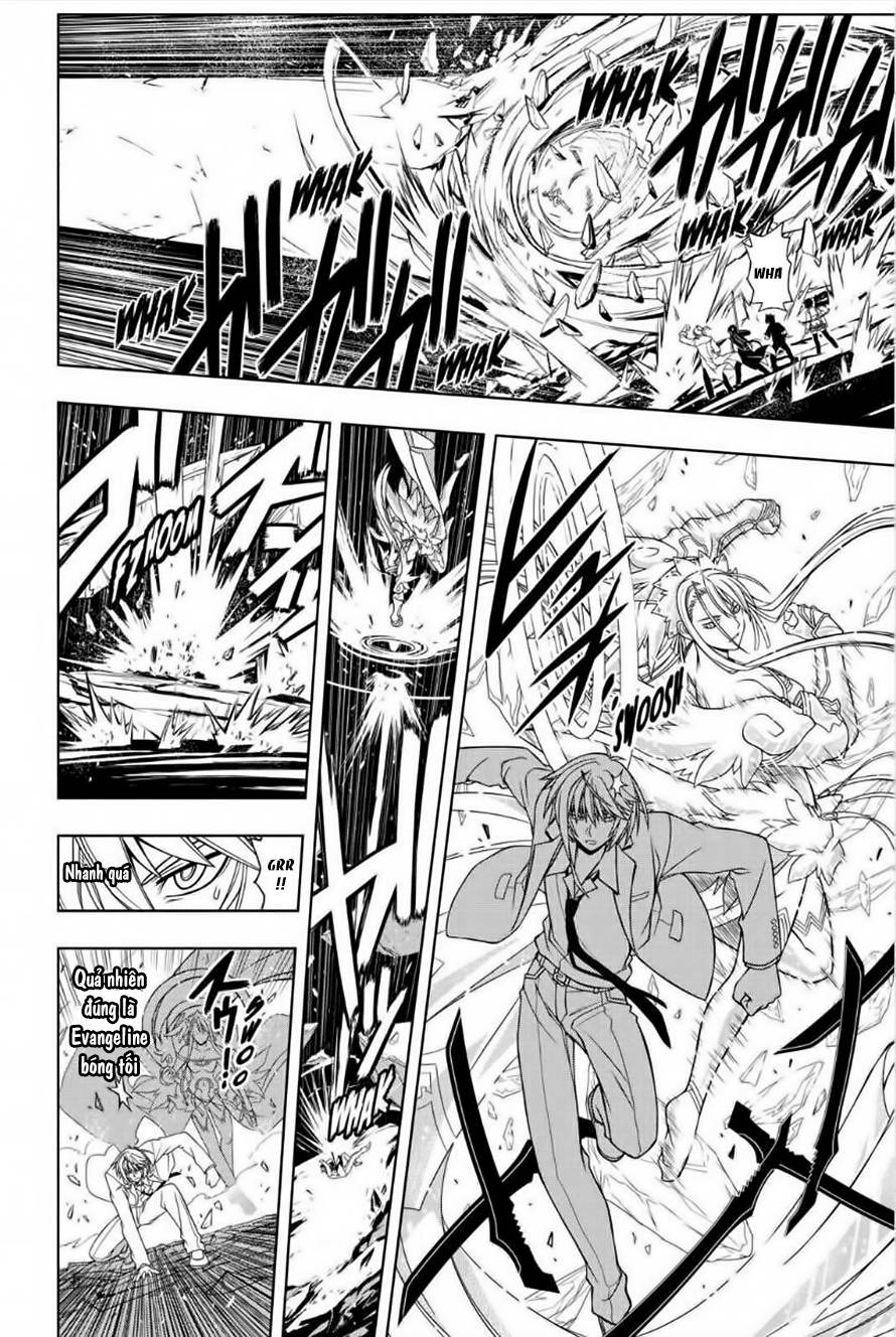 uq-holder/13