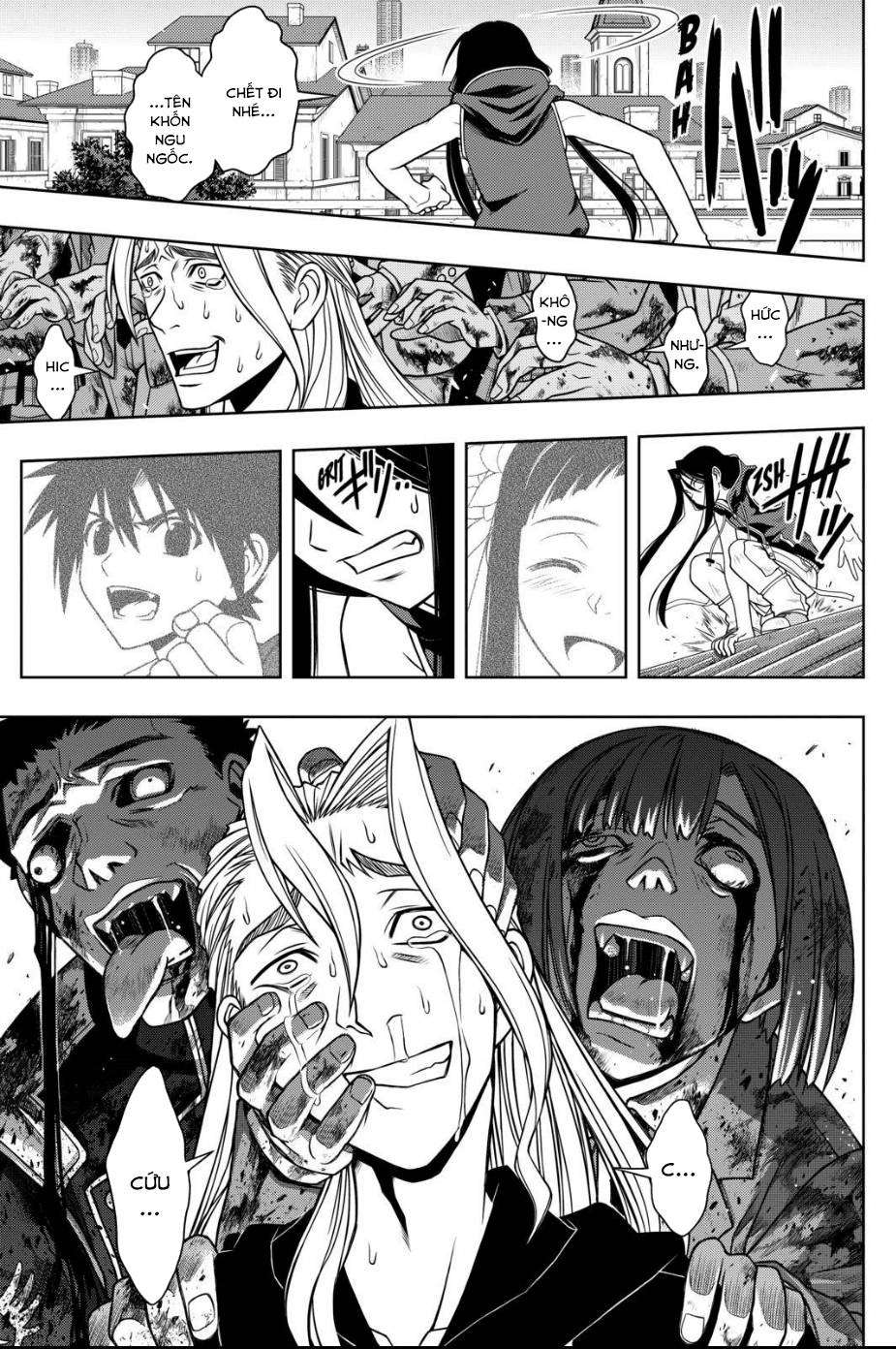 uq-holder/11