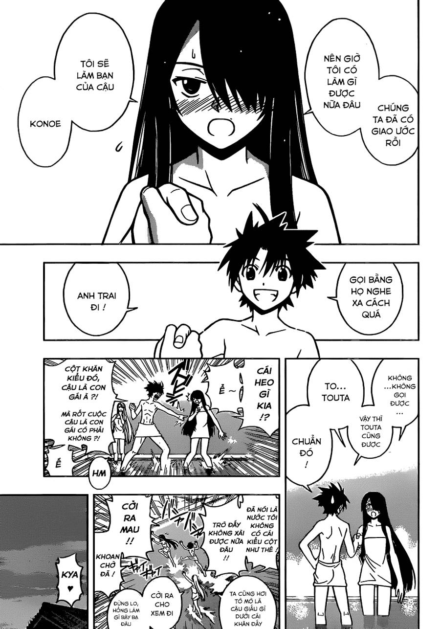 uq-holder/5