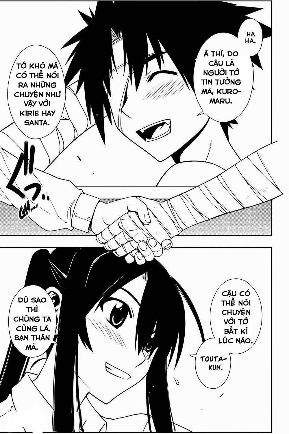 uq-holder/13