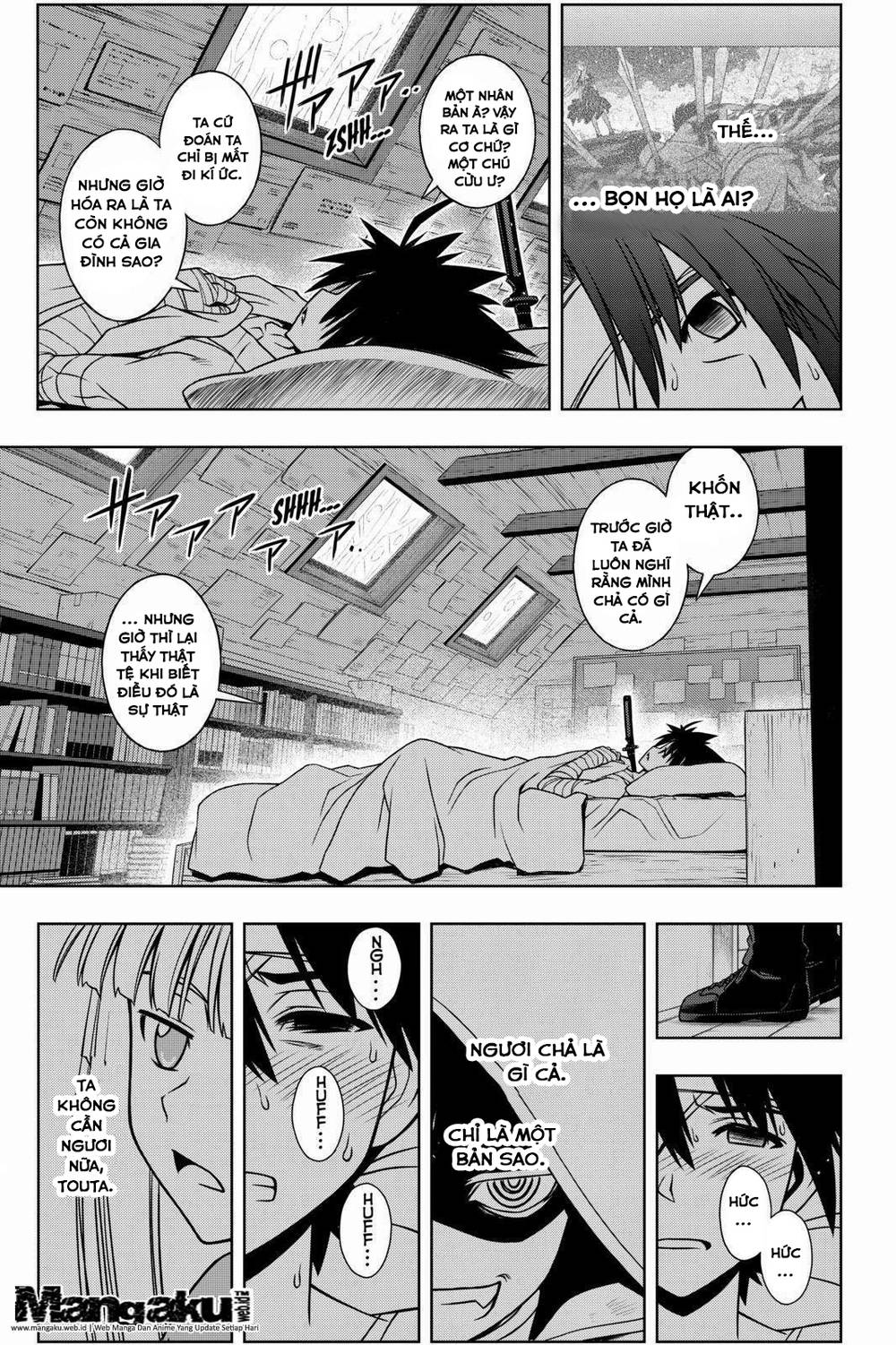 uq-holder/7