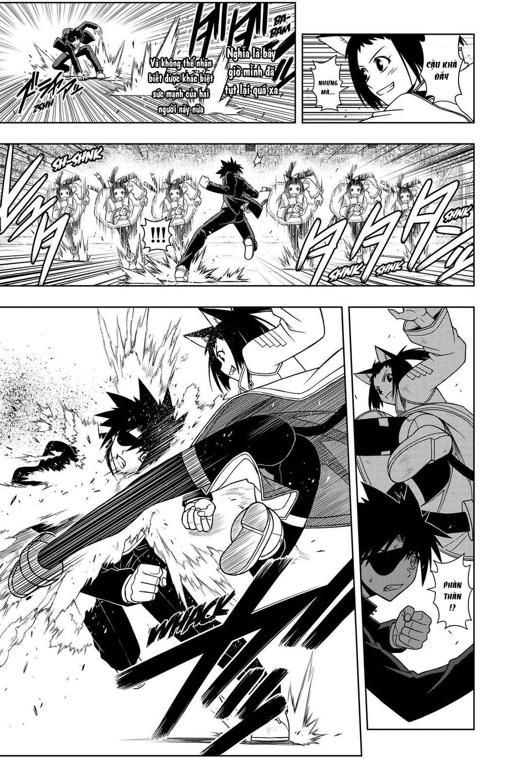 uq-holder/14