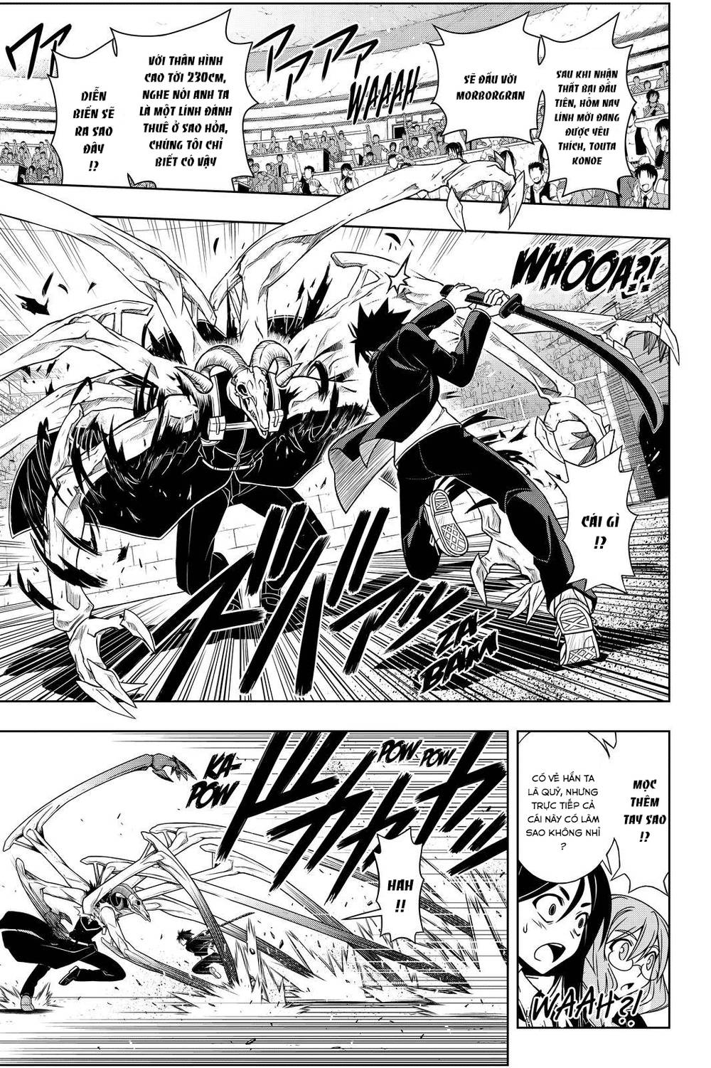 uq-holder/16