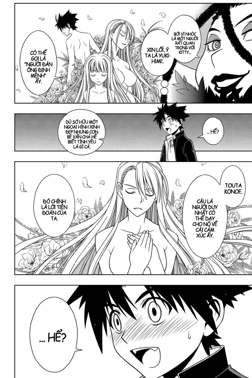 uq-holder/13