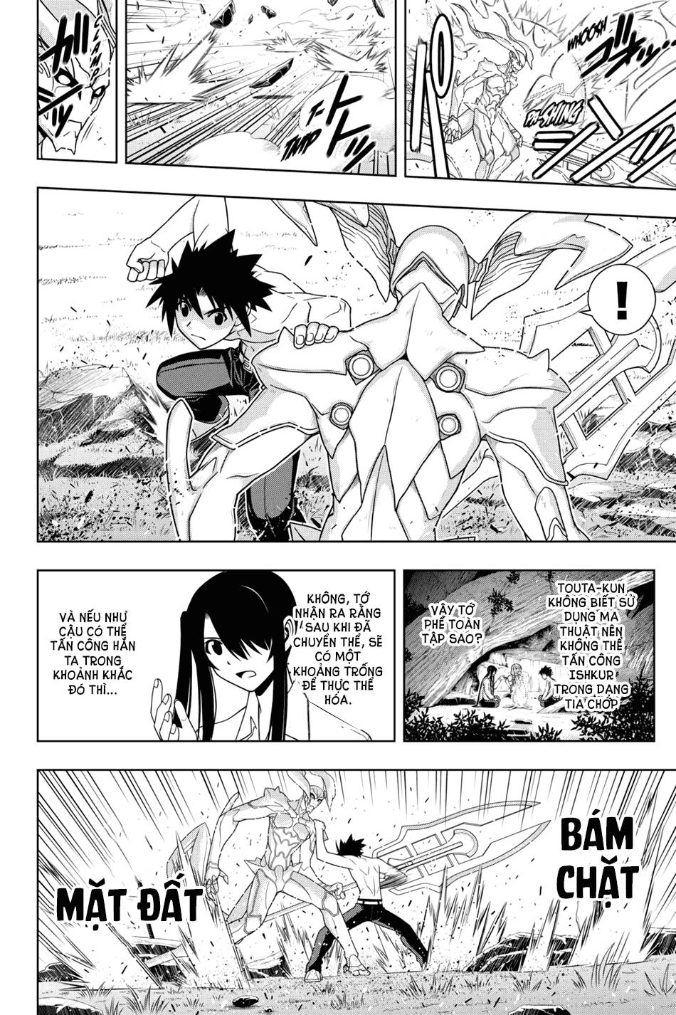 uq-holder/7