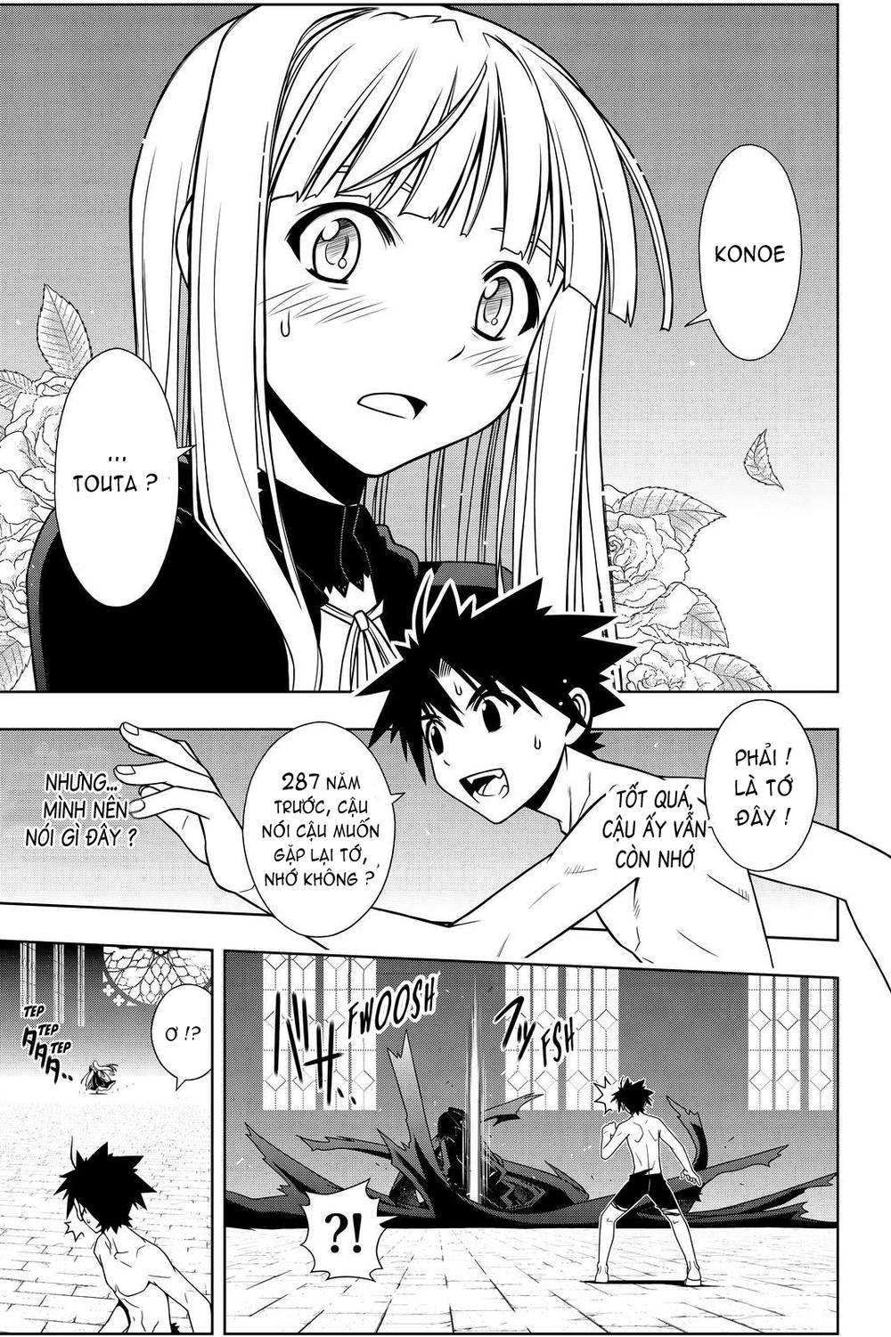 uq-holder/12