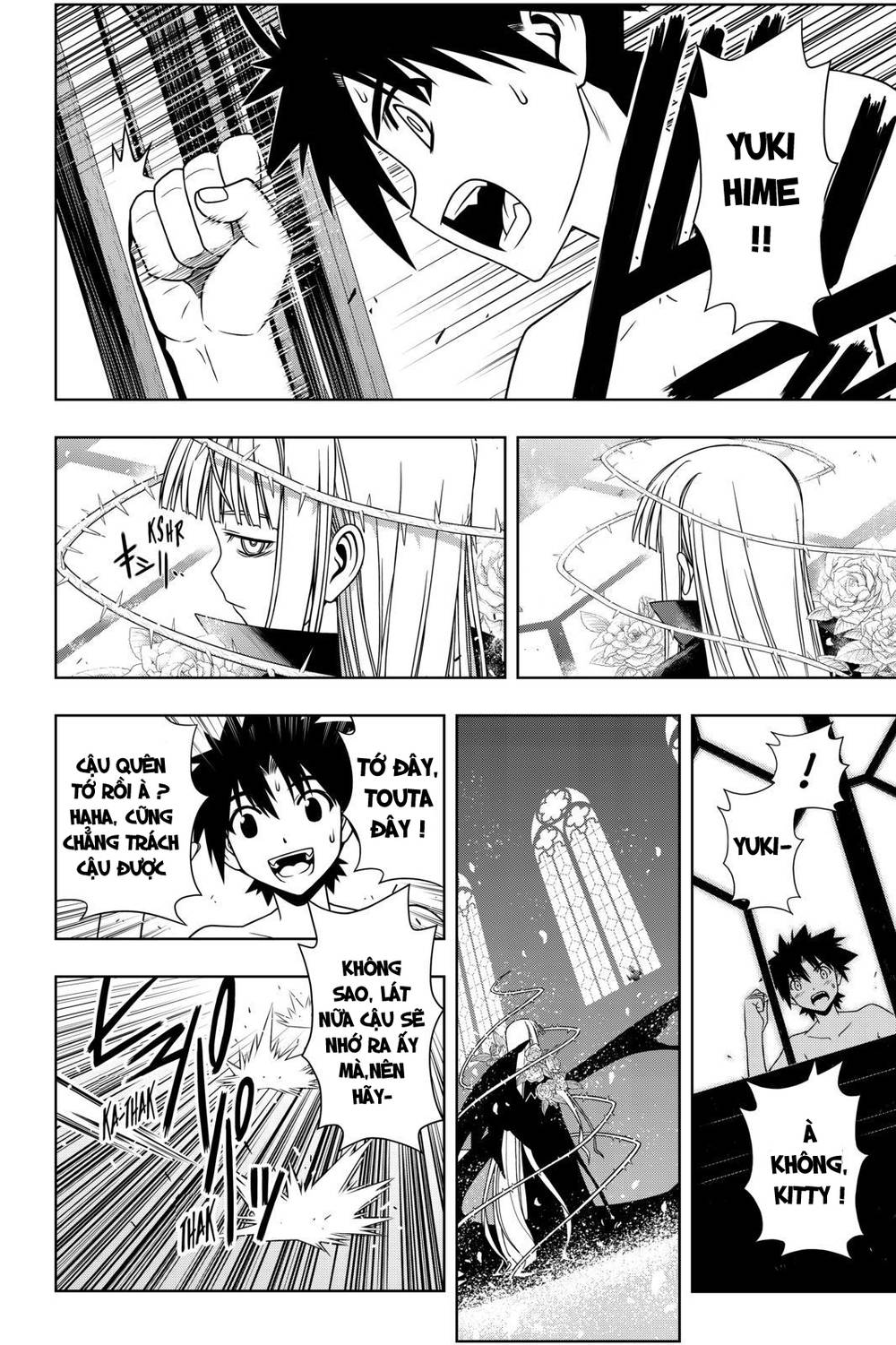 uq-holder/3