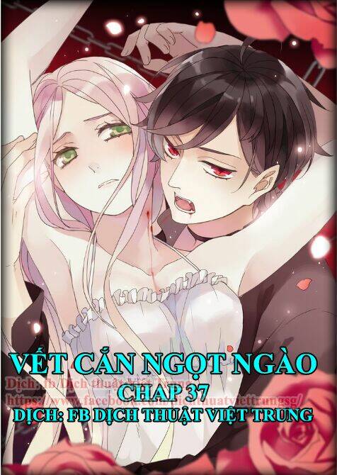 vet-can-ngot-ngao/0