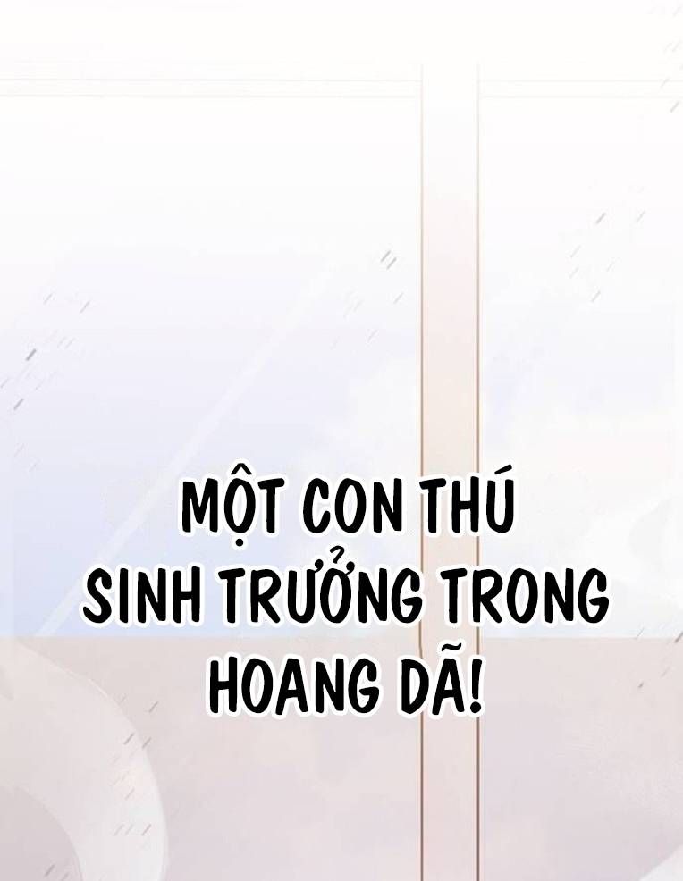 vuong-hau-di-hoc/100