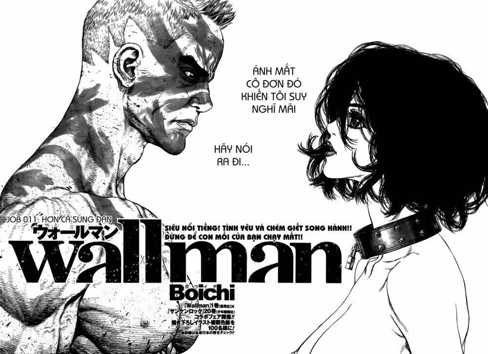 wallman/3