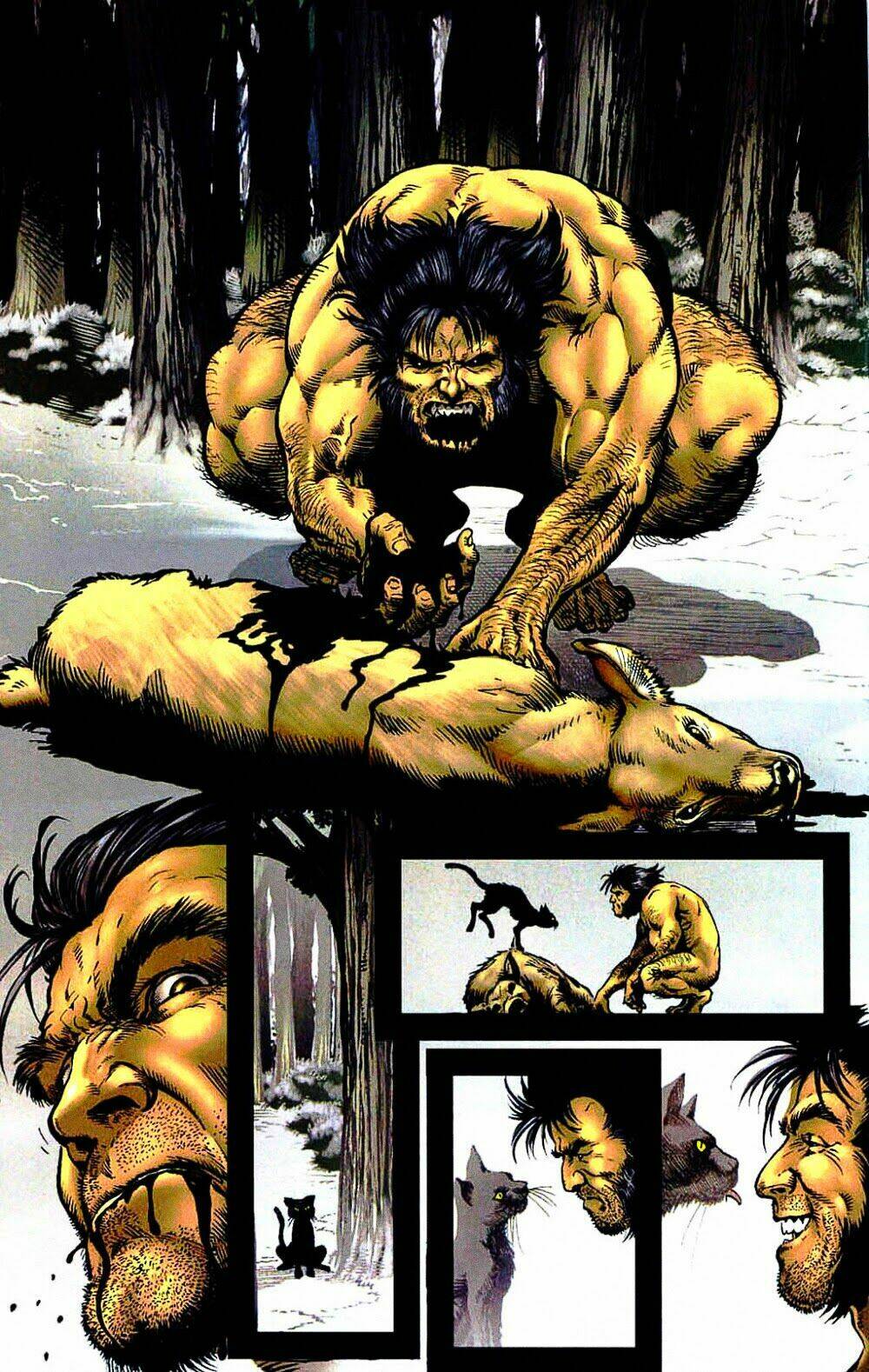 wolverine-vol-3/8