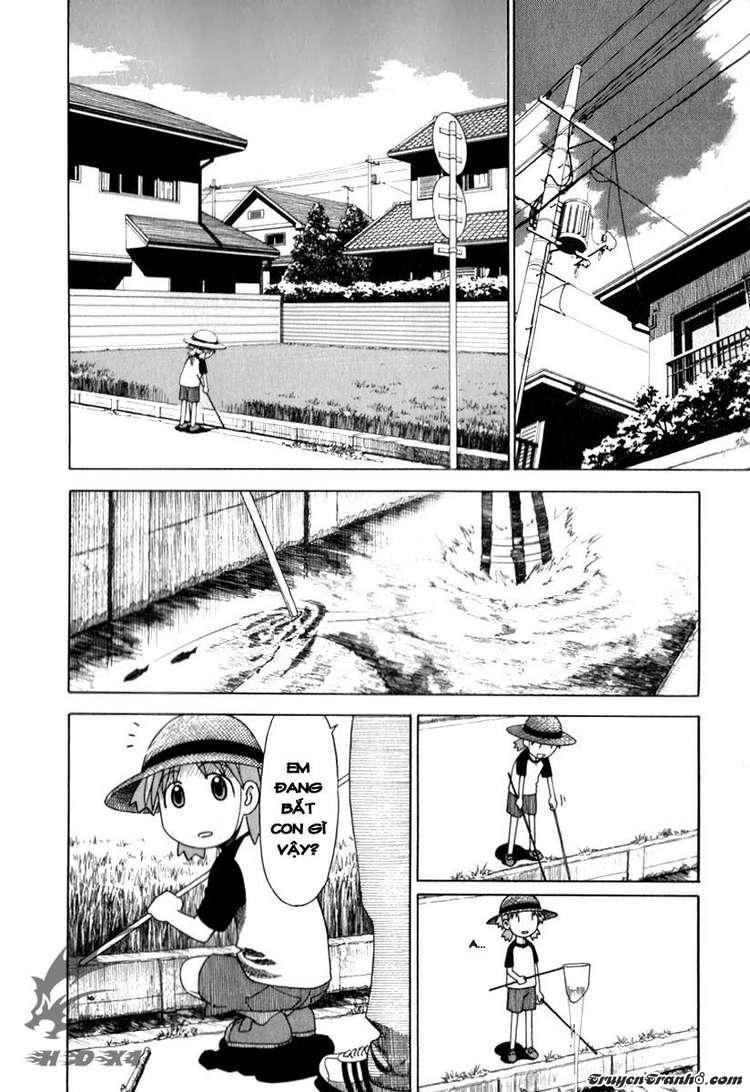 yotsubato/1