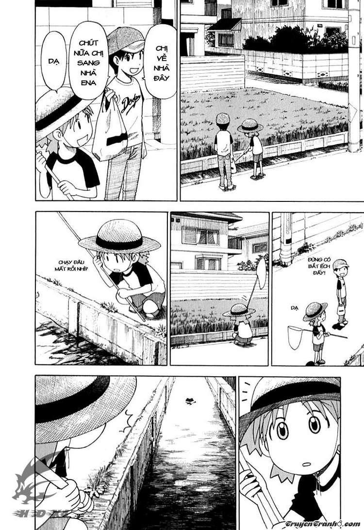 yotsubato/5