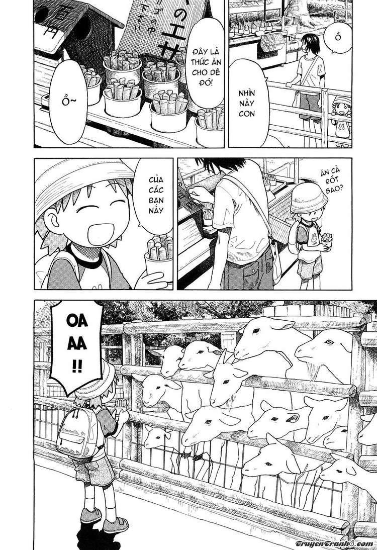 yotsubato/11