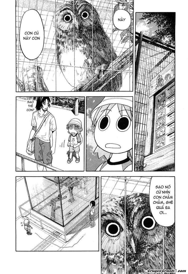 yotsubato/15