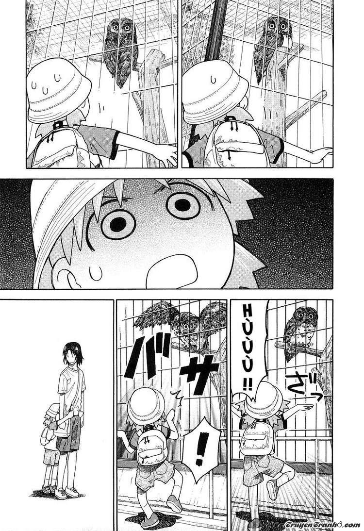 yotsubato/16