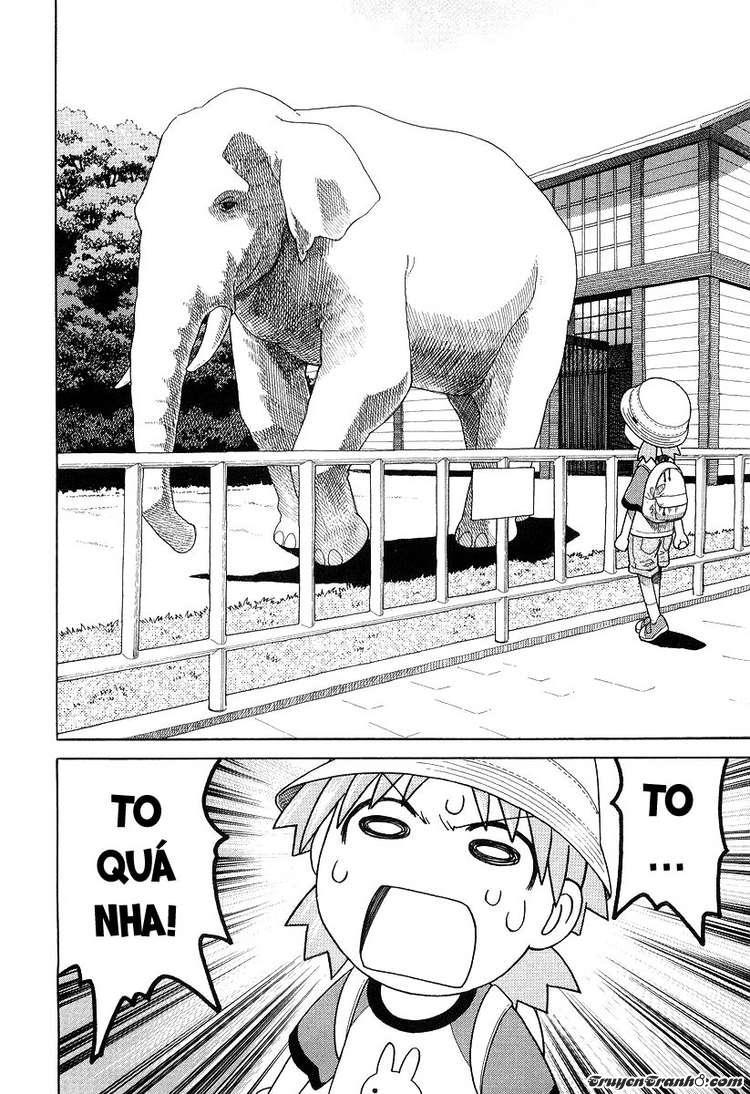 yotsubato/19