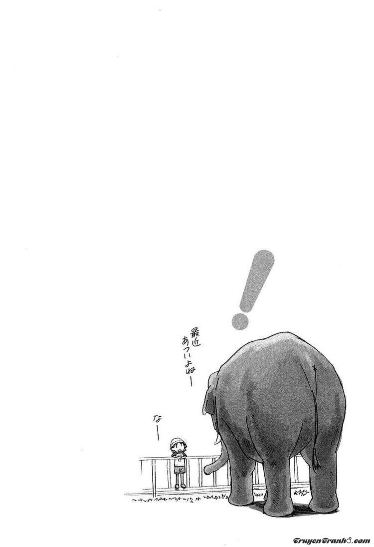 yotsubato/25